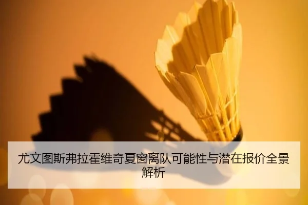 尤文图斯弗拉霍维奇夏窗离队可能性与潜在报价全景解析（kaiyun）